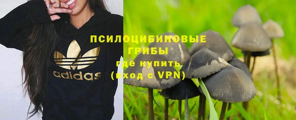 метадон Новозыбков