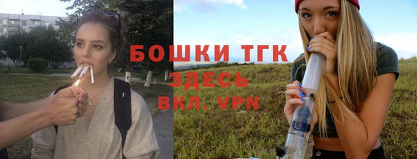 дурь Гатчина