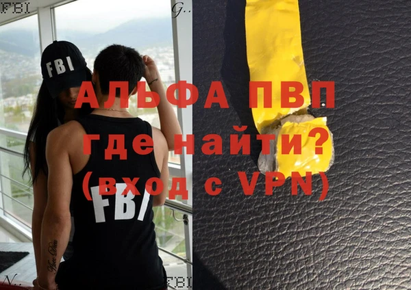 индика Галич